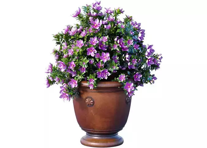 Decorative Magnolia tree garden pot decoration classic style