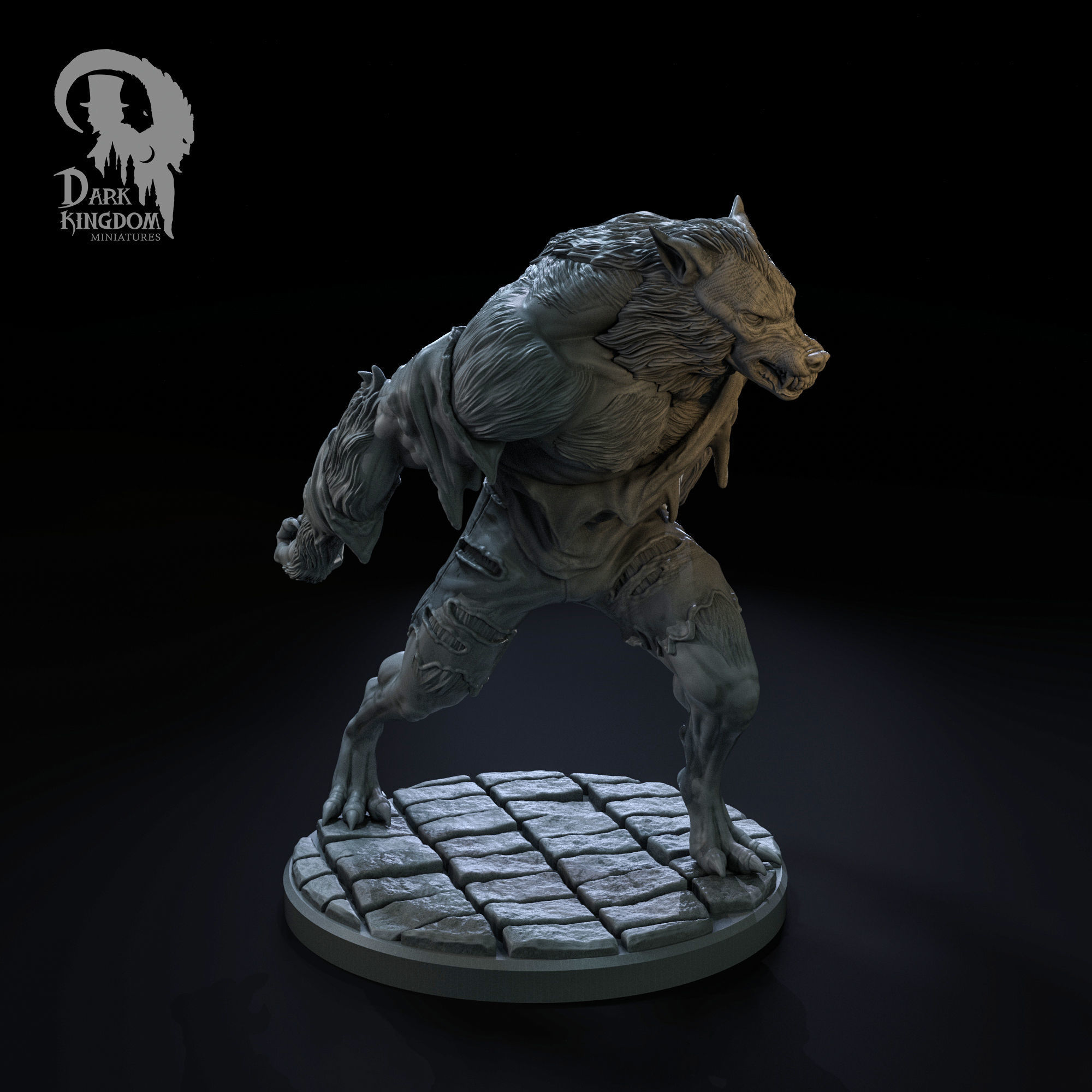 Pack 1 3D print model_5