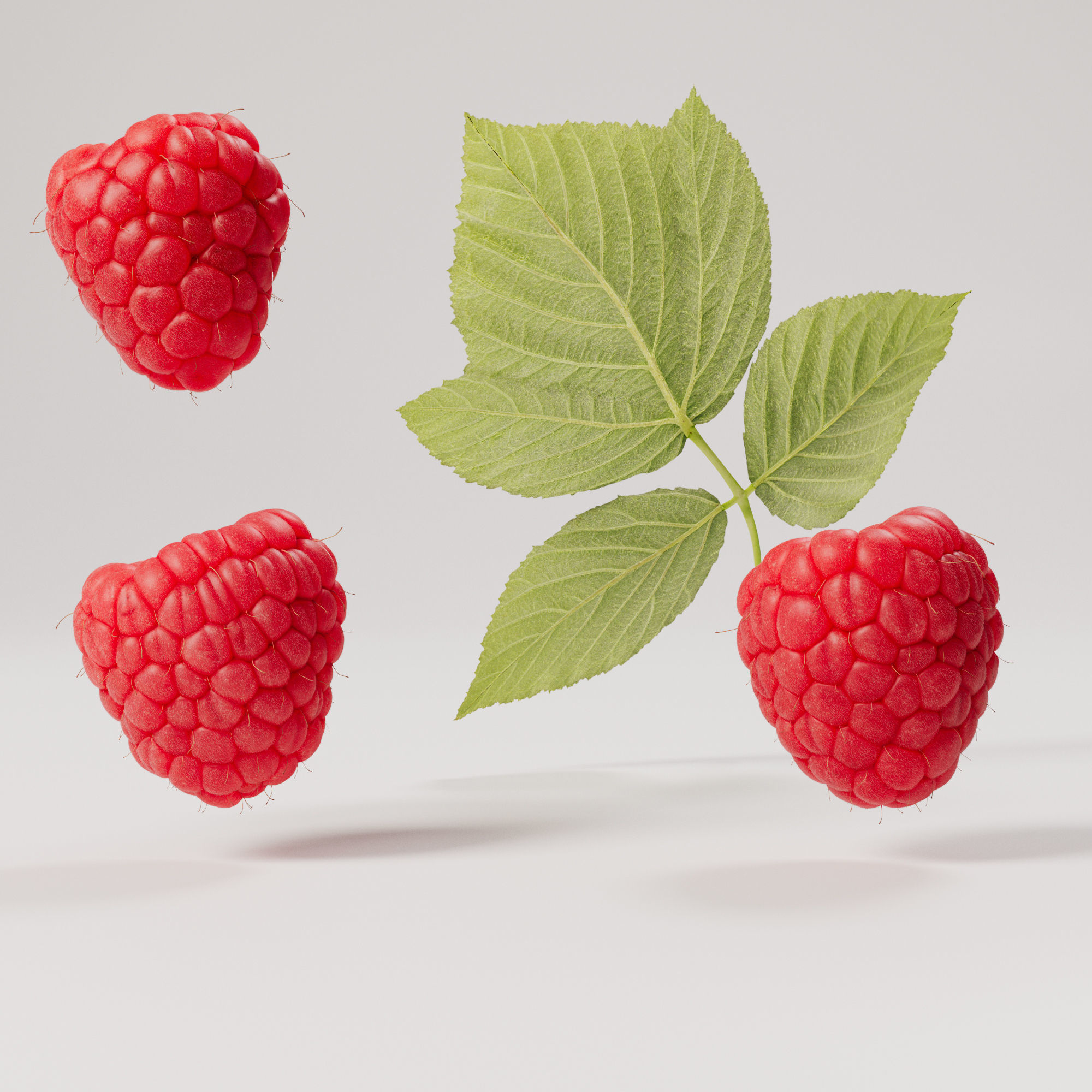Raspberries - 3 Variations Low-poly 3D model_5