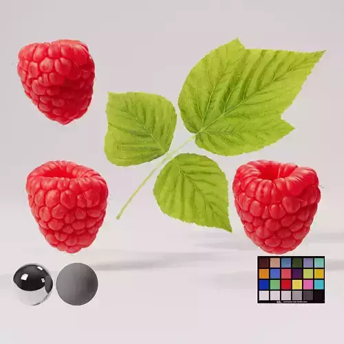 Raspberries - 3 Variations Low-poly 3D model