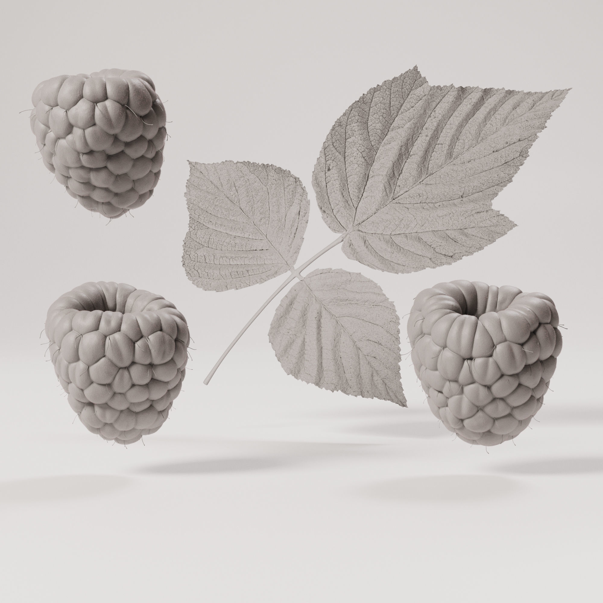 Raspberries - 3 Variations Low-poly 3D model_3