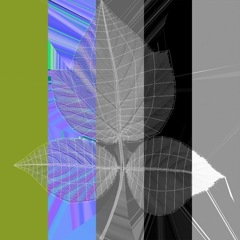 Raspberries - 3 Variations Low-poly 3D model_8