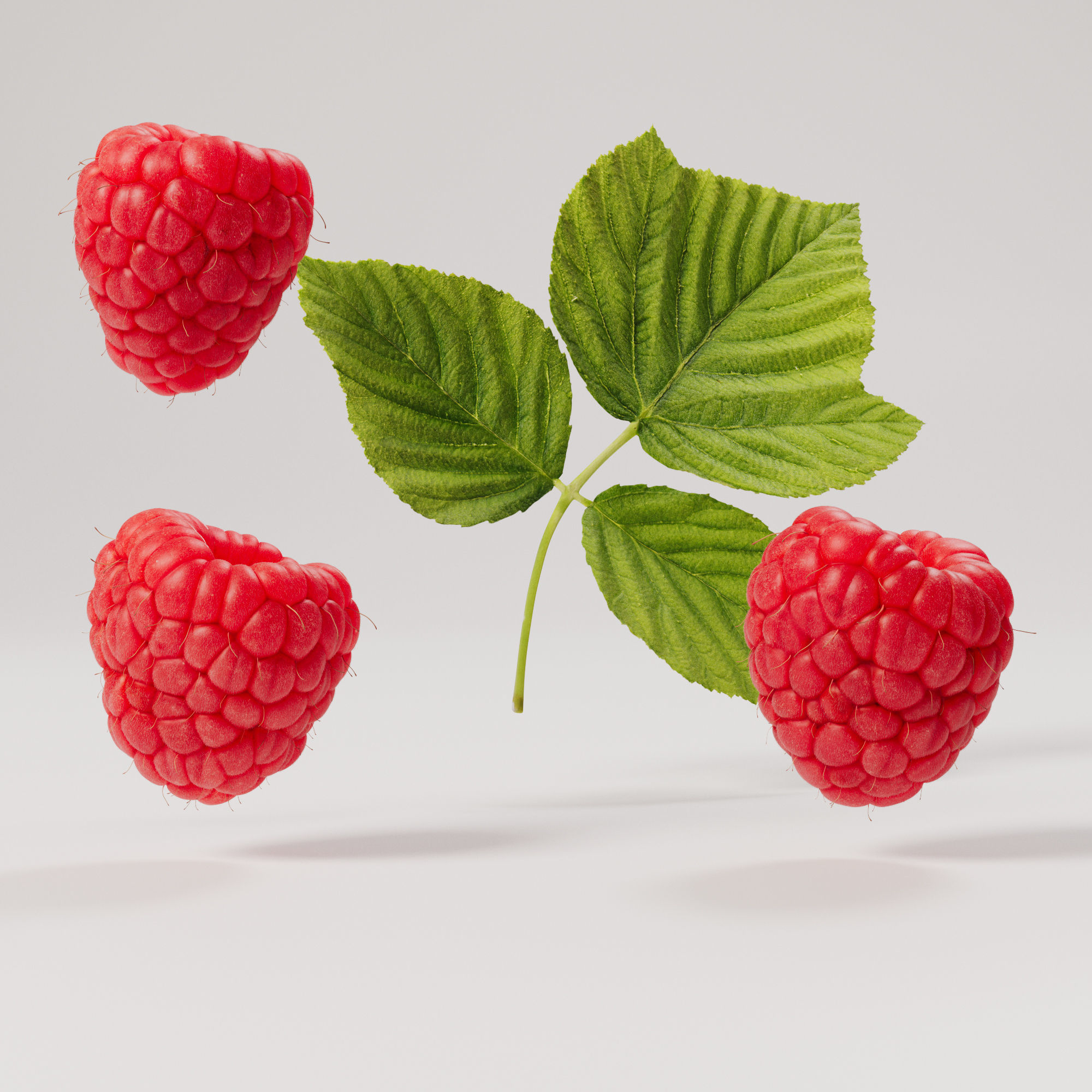 Raspberries - 3 Variations Low-poly 3D model_4