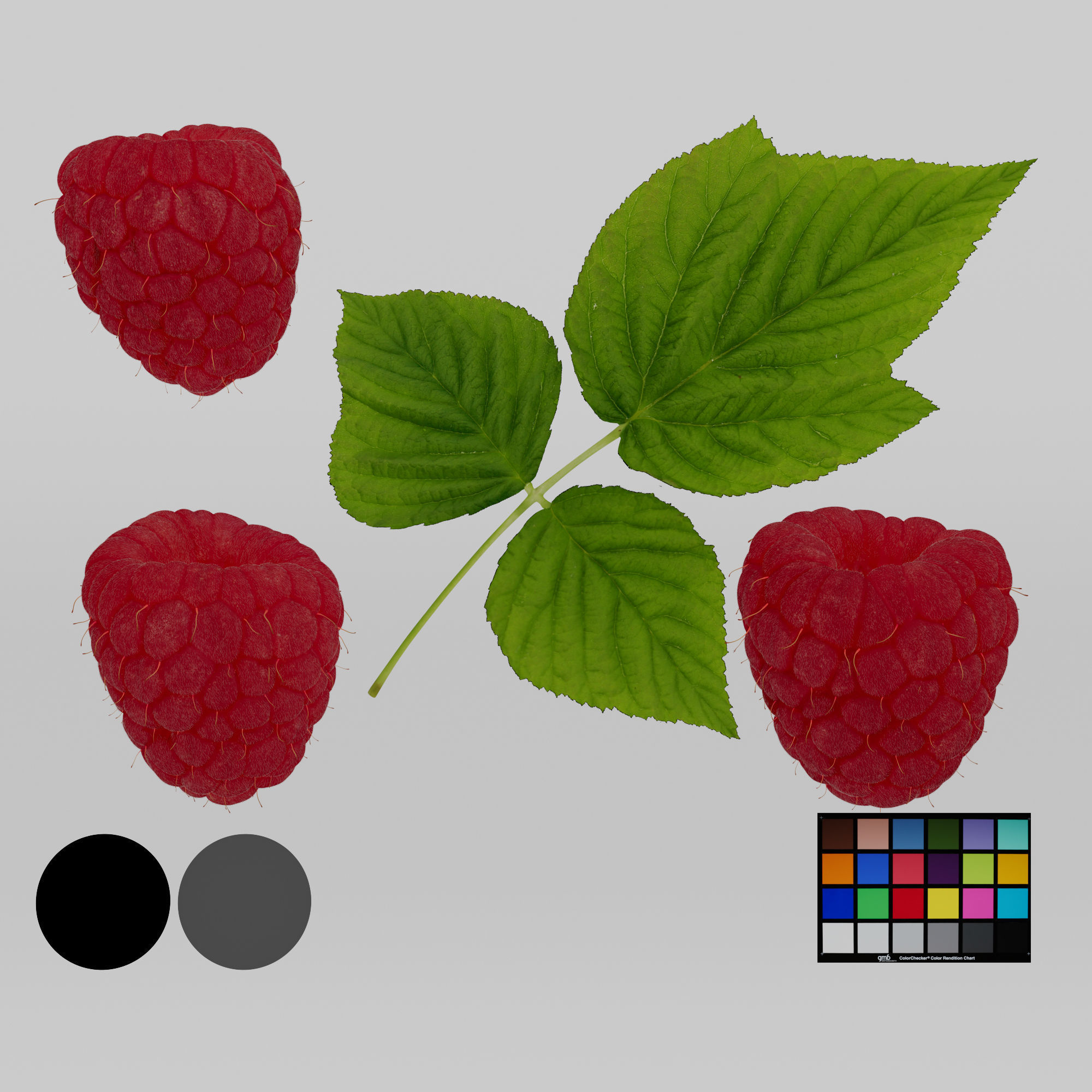Raspberries - 3 Variations Low-poly 3D model_2