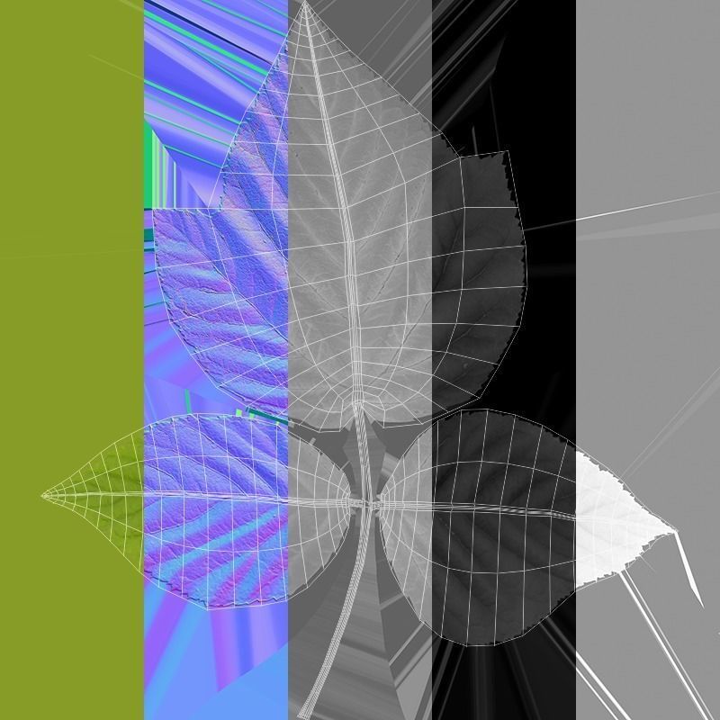 Raspberries - 3 Variations Low-poly 3D model_7