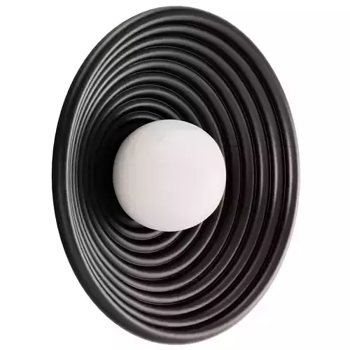 Robin Randa Wall and Ceiling Lamp 3D model