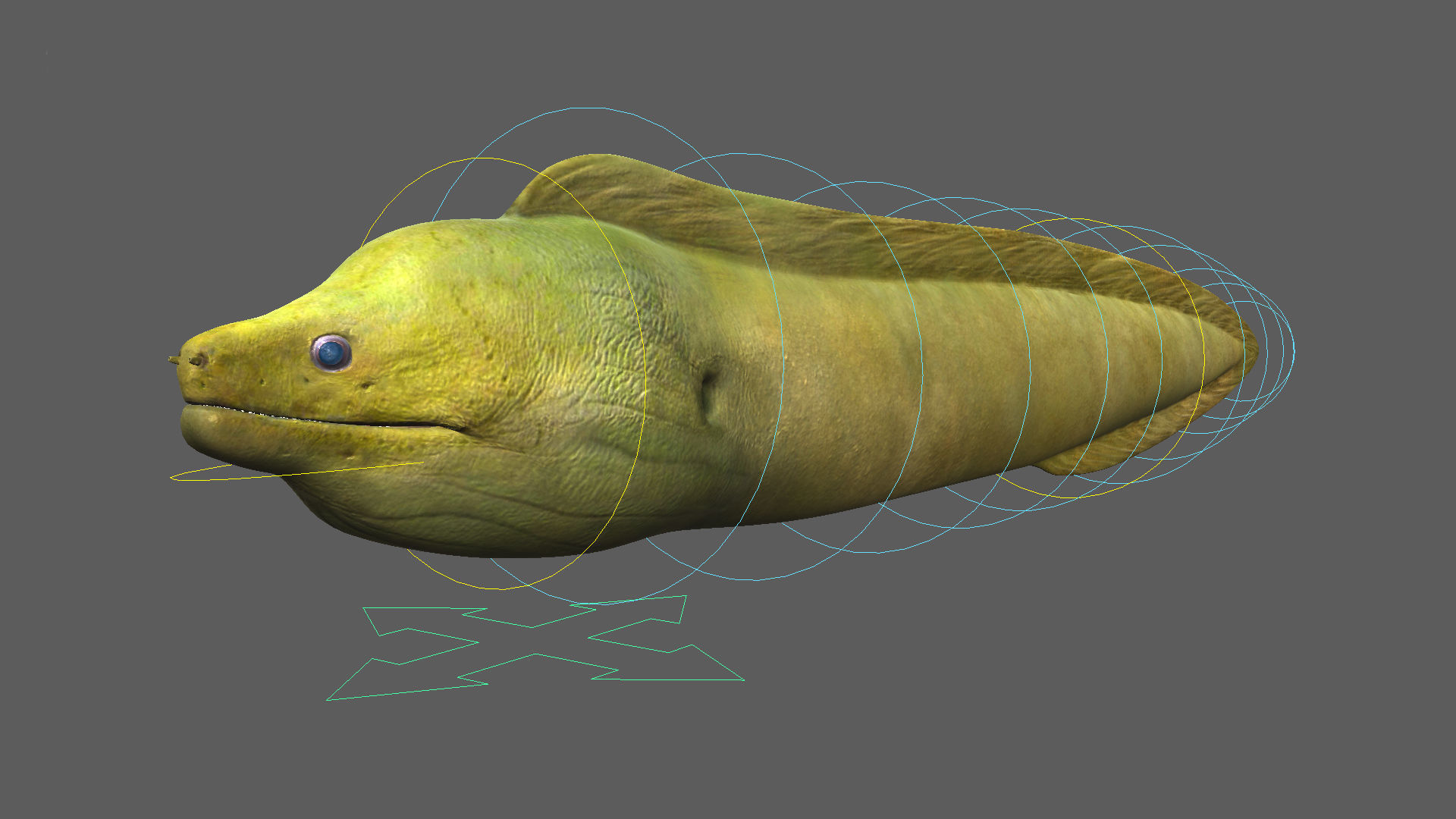 Moray Eel - Green 3D model_7