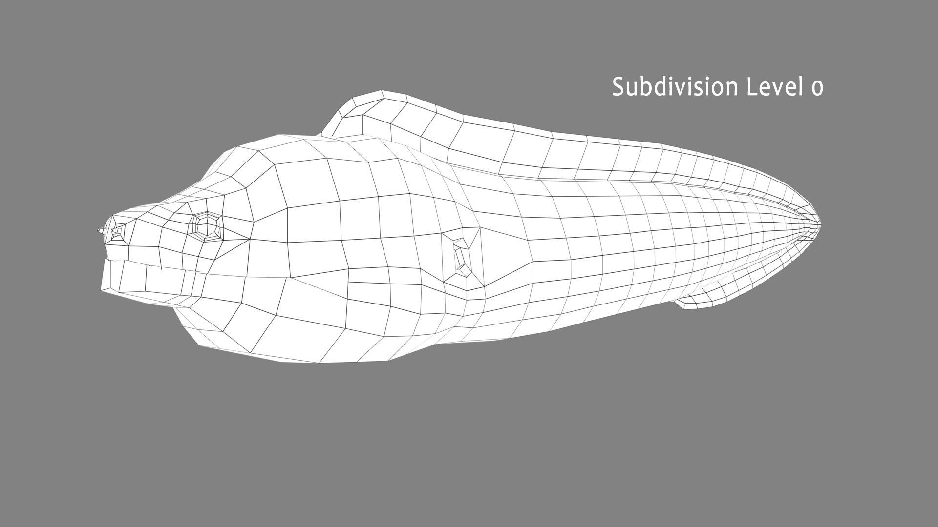 Moray Eel - Green 3D model_8