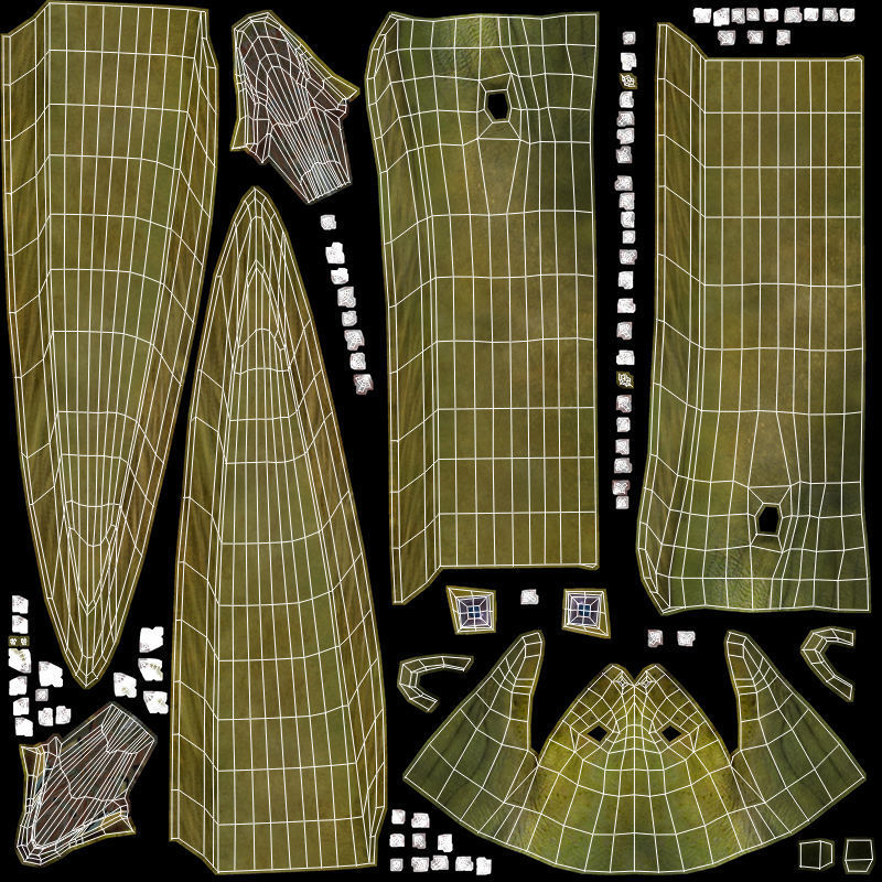 Moray Eel - Green 3D model_10