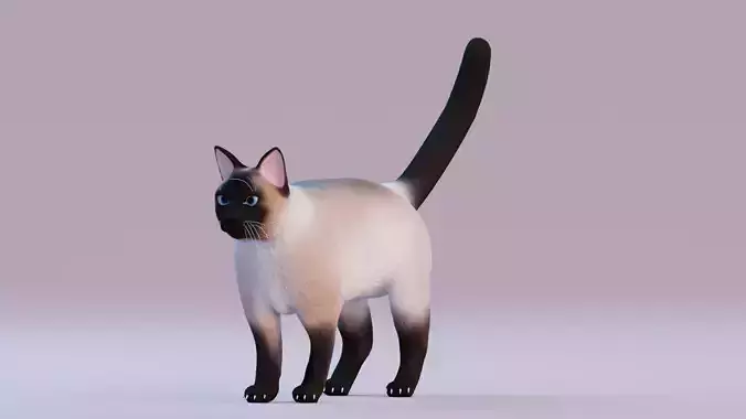 Low poly - Stylized cats - Siamese Cat Low-poly 3D model