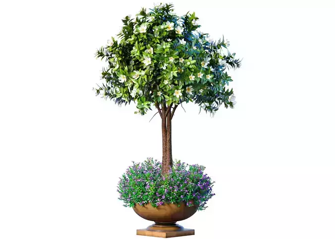 Decorative tall garden tree shrub flowerbed in floorvase 