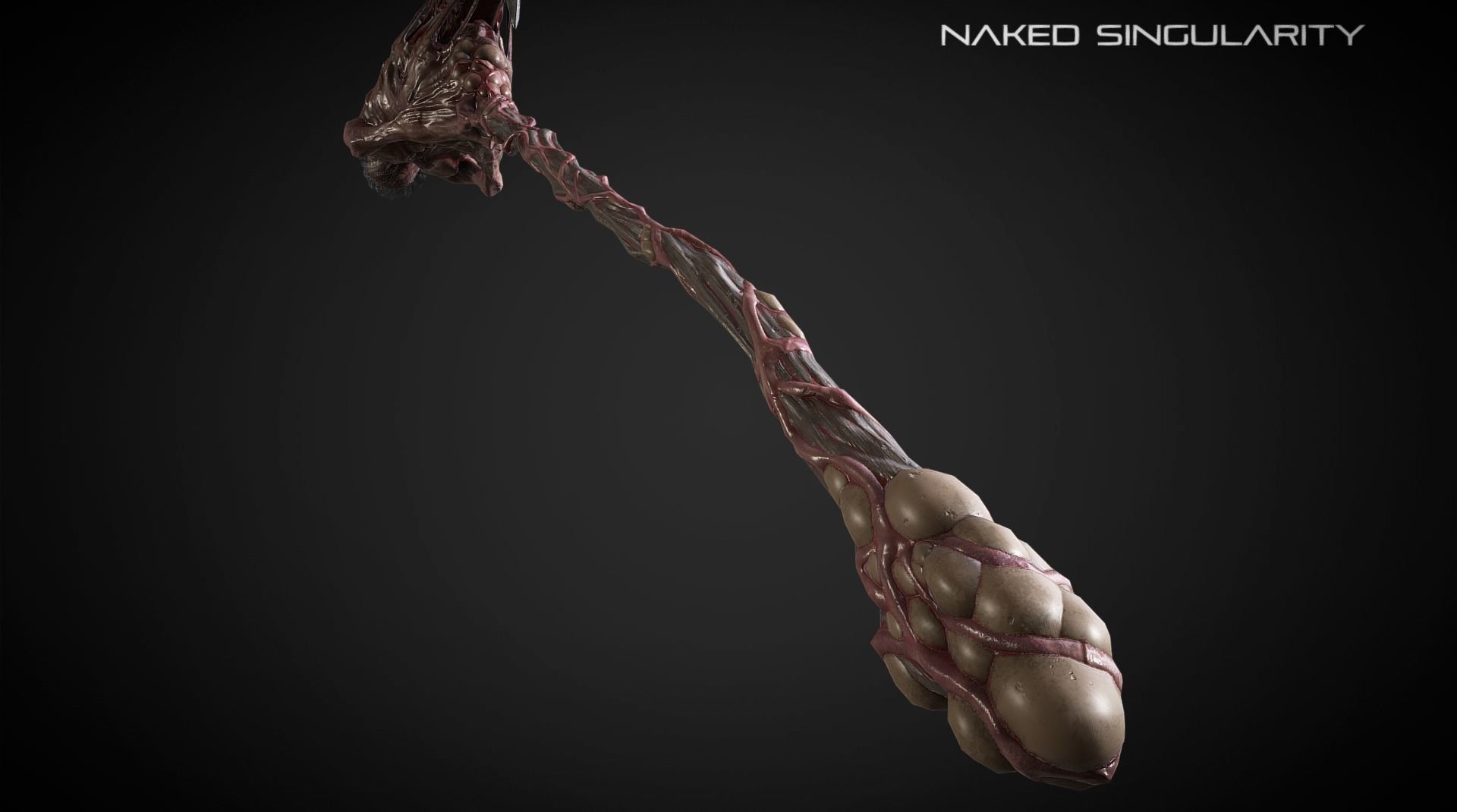 Living Halberd  Medieval dark fantasy weapon Low-poly 3D model_7