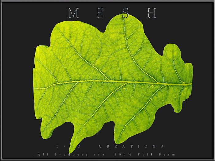 Oak leaf - Curved Low-poly 3D model_1