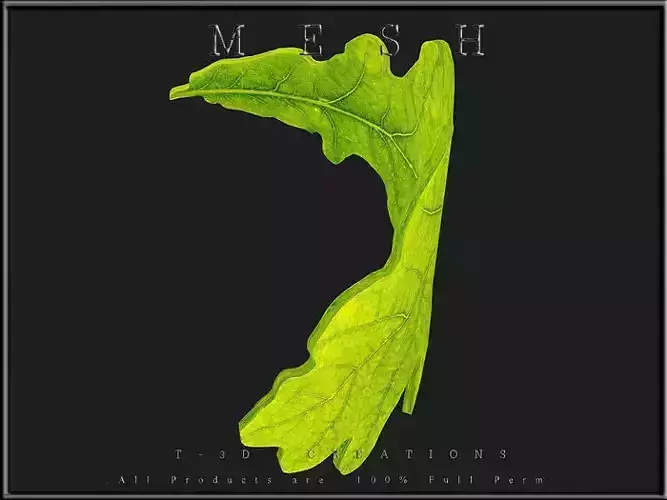 Oak leaf - Curved Low-poly 3D model