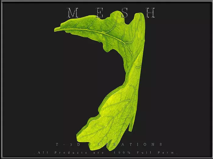 Oak leaf - Curved Low-poly 3D model_0