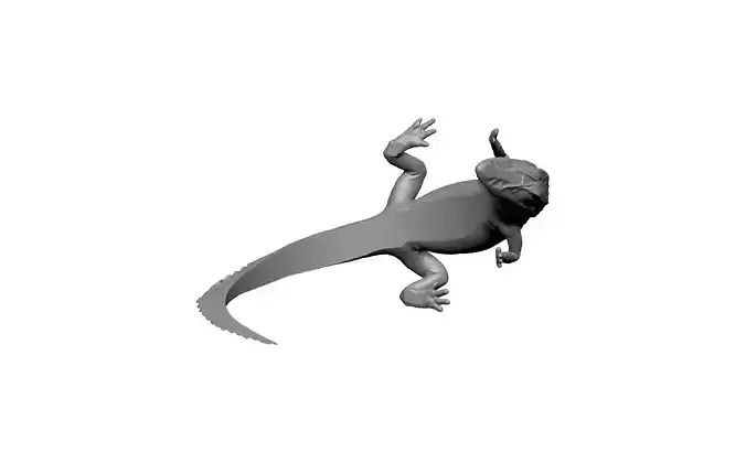 crocodile alligator ring reptile