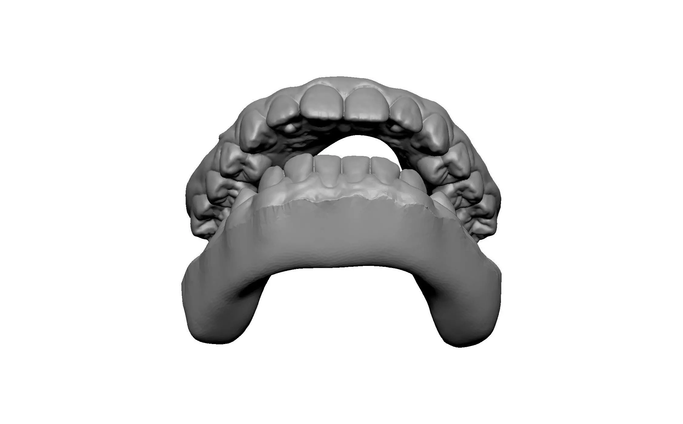 teeth jaw man 3D print model