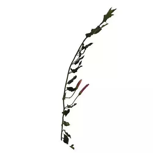 grass with flowers Low-poly 3D model