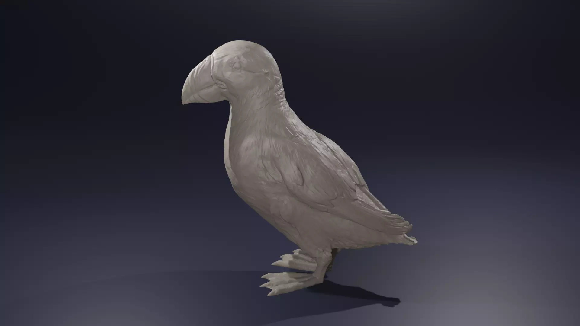 Highpoly Standing Puffin Fratercula arctica Atlantic Bird 3D print model