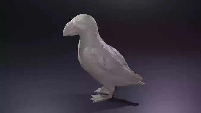 Highpoly Standing Puffin Fratercula arctica Atlantic Bird 3D print model