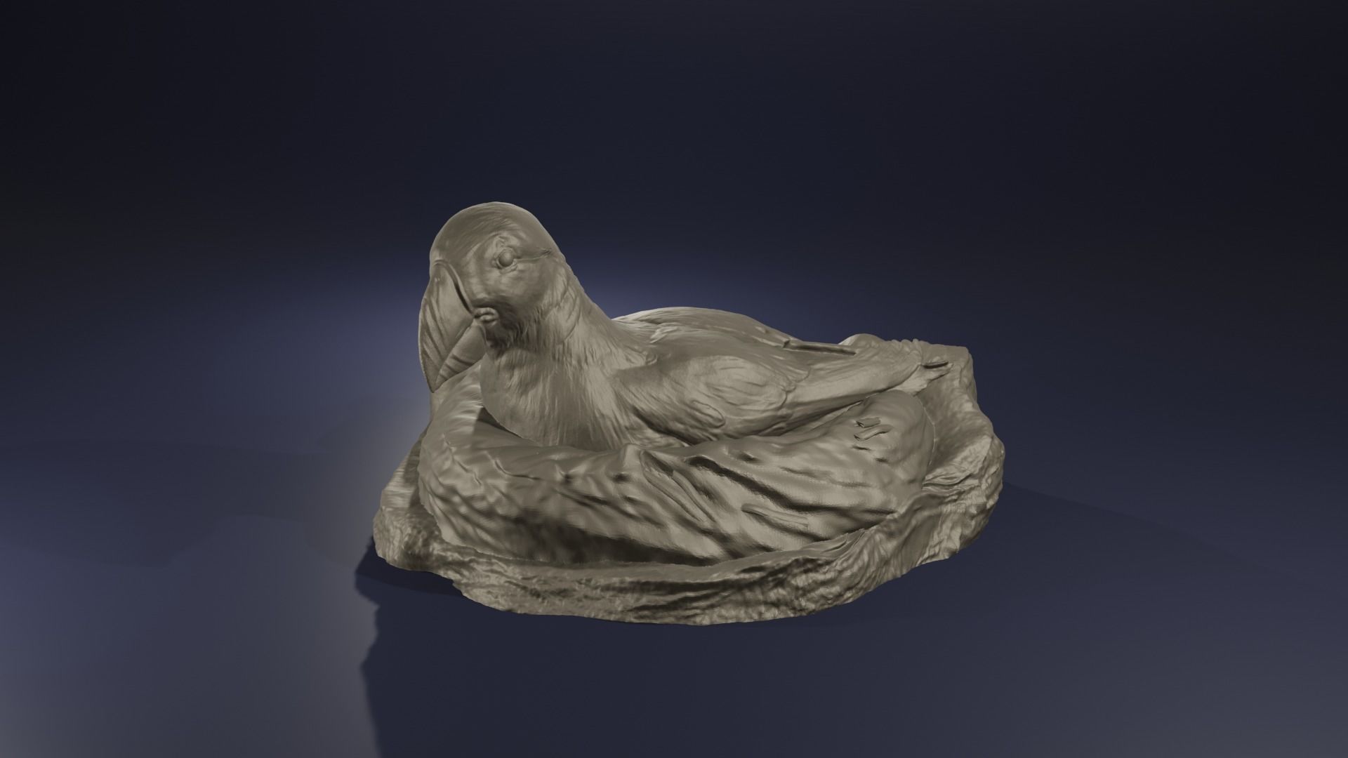 Highpoly Nesting Puffin Fratercula arctica Atlantic Bird model 3D print model_1