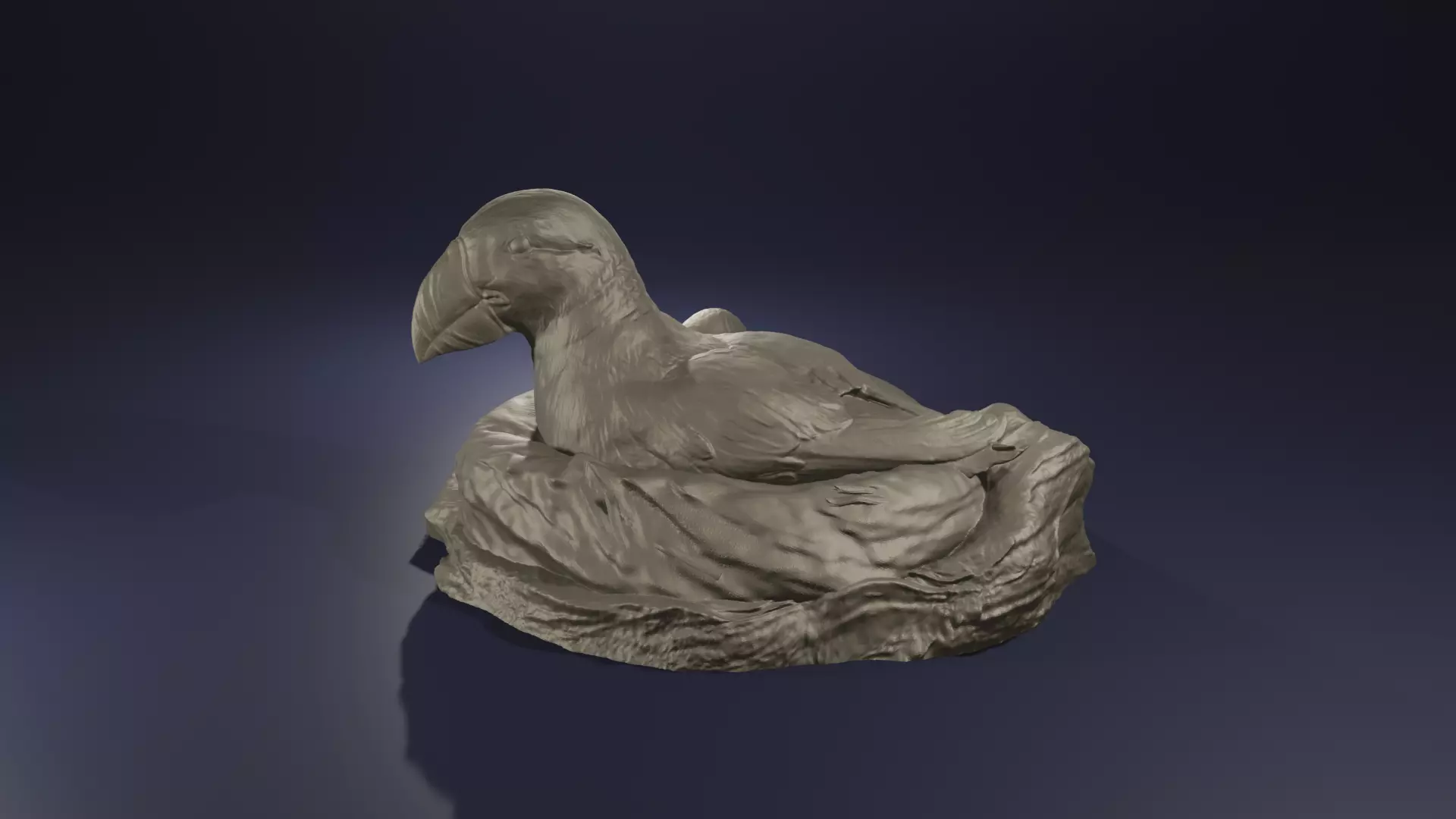 Highpoly Nesting Puffin Fratercula arctica Atlantic Bird model 3D print model_0