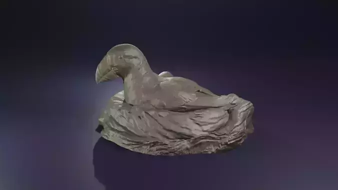Highpoly Nesting Puffin Fratercula arctica Atlantic Bird model 3D print model