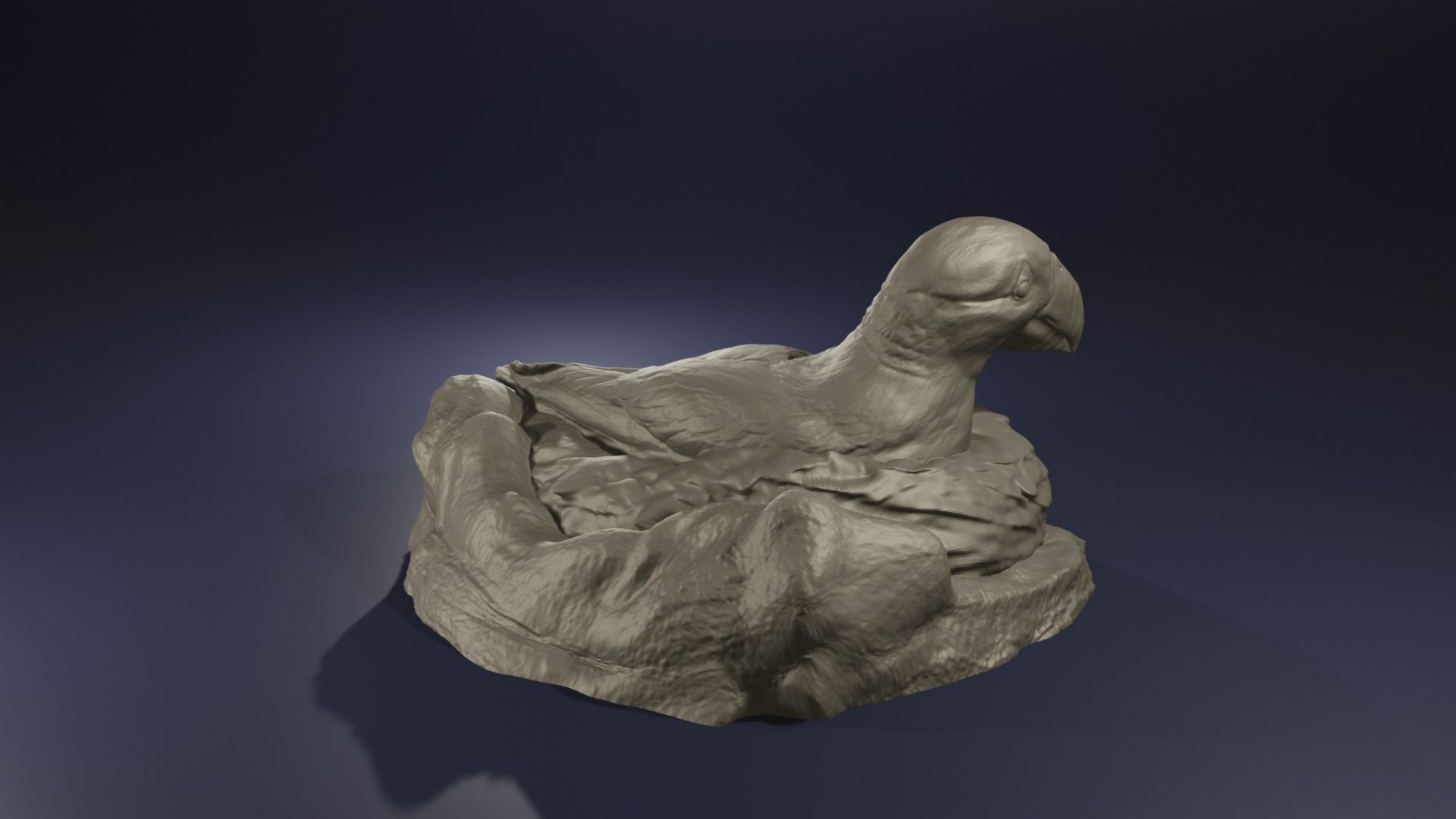 Highpoly Nesting Puffin Fratercula arctica Atlantic Bird model 3D print model_4
