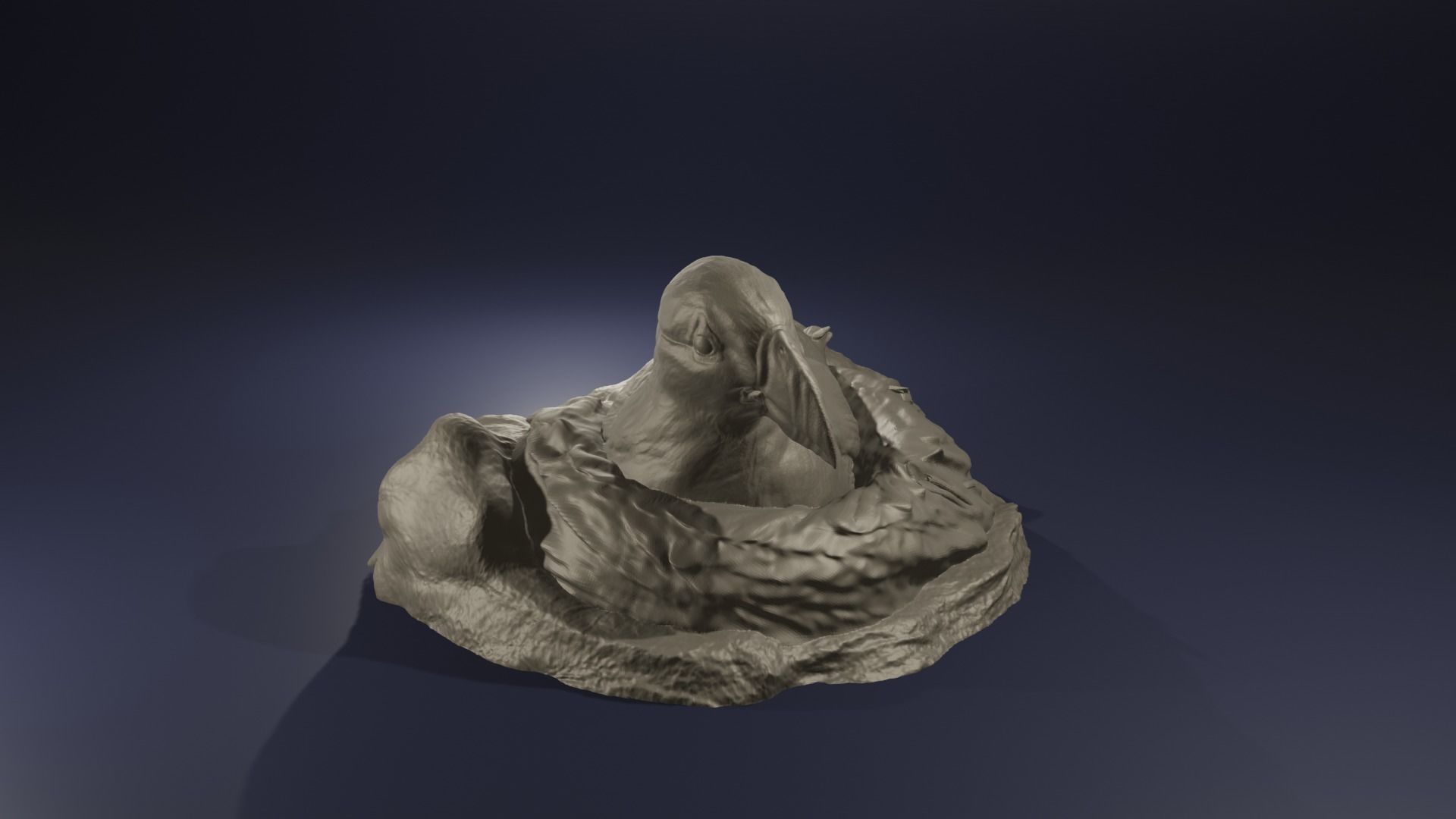 Highpoly Nesting Puffin Fratercula arctica Atlantic Bird model 3D print model_3