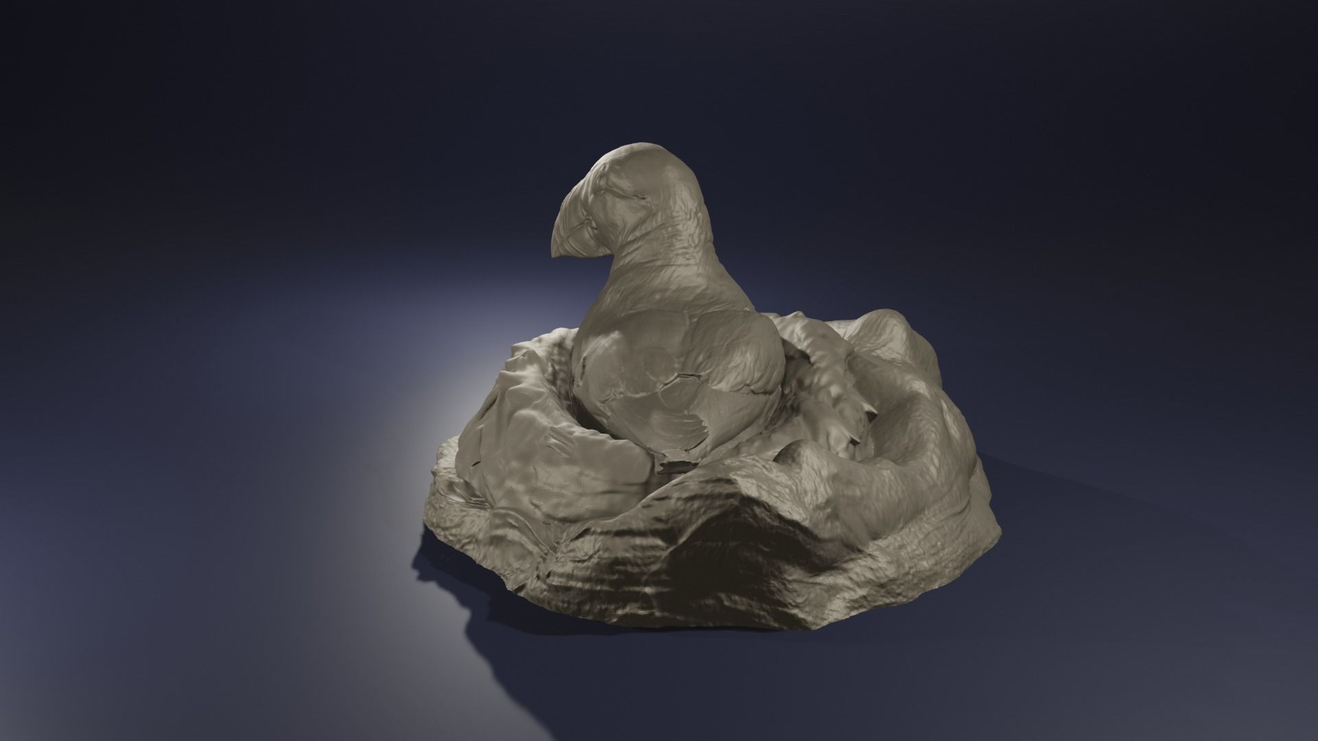 Highpoly Nesting Puffin Fratercula arctica Atlantic Bird model 3D print model_2