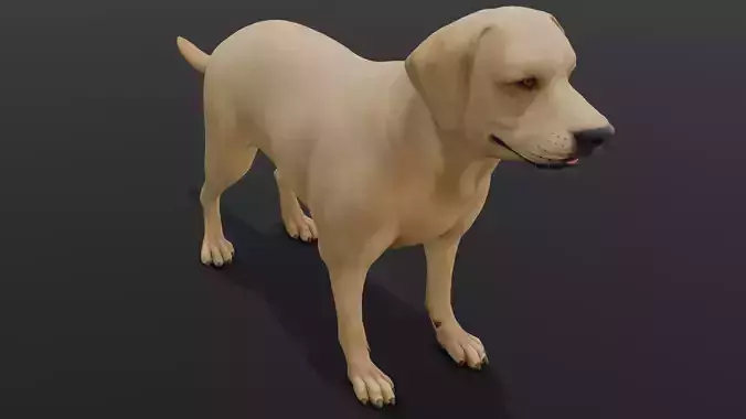 Dog Animated and Rigged