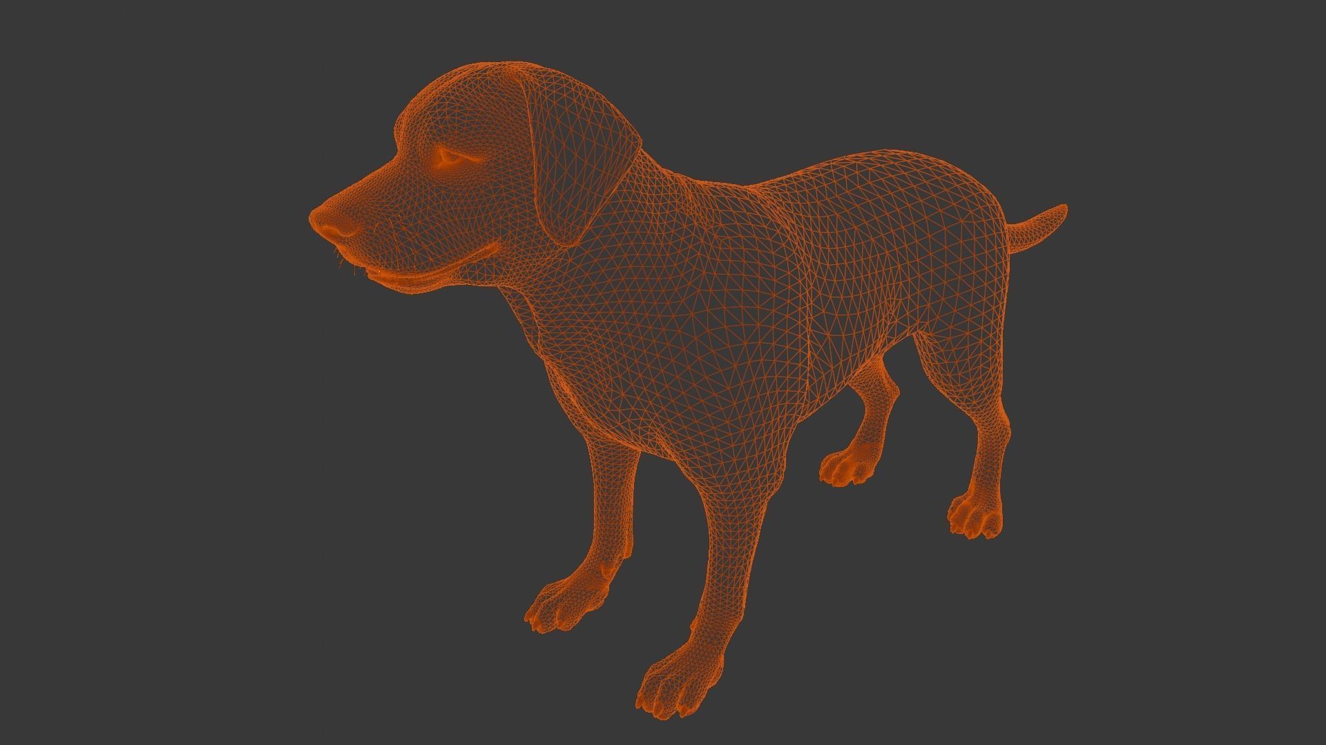 Dog Animated and Rigged Low-poly 3D model_15