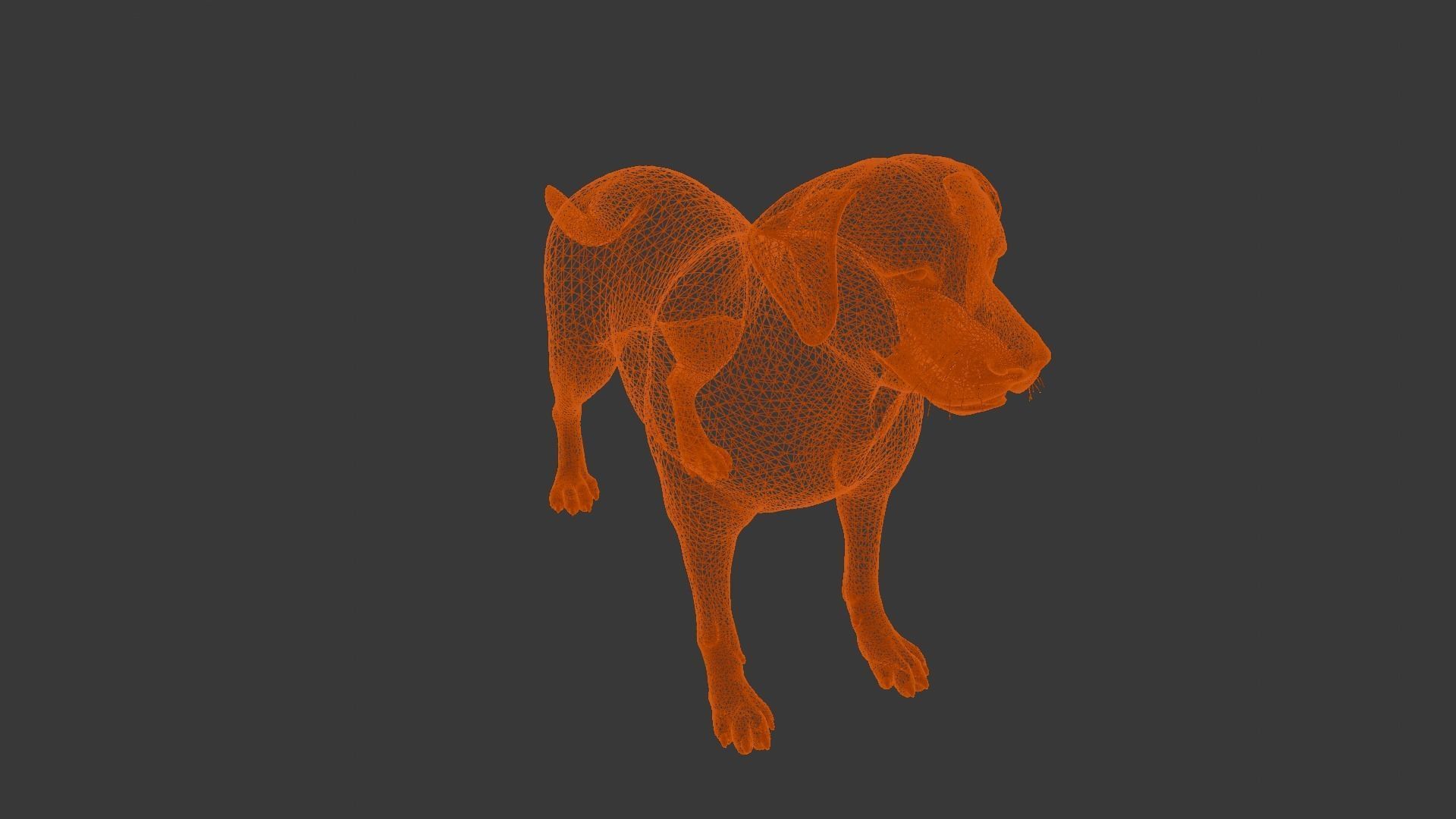 Dog Animated and Rigged Low-poly 3D model_16