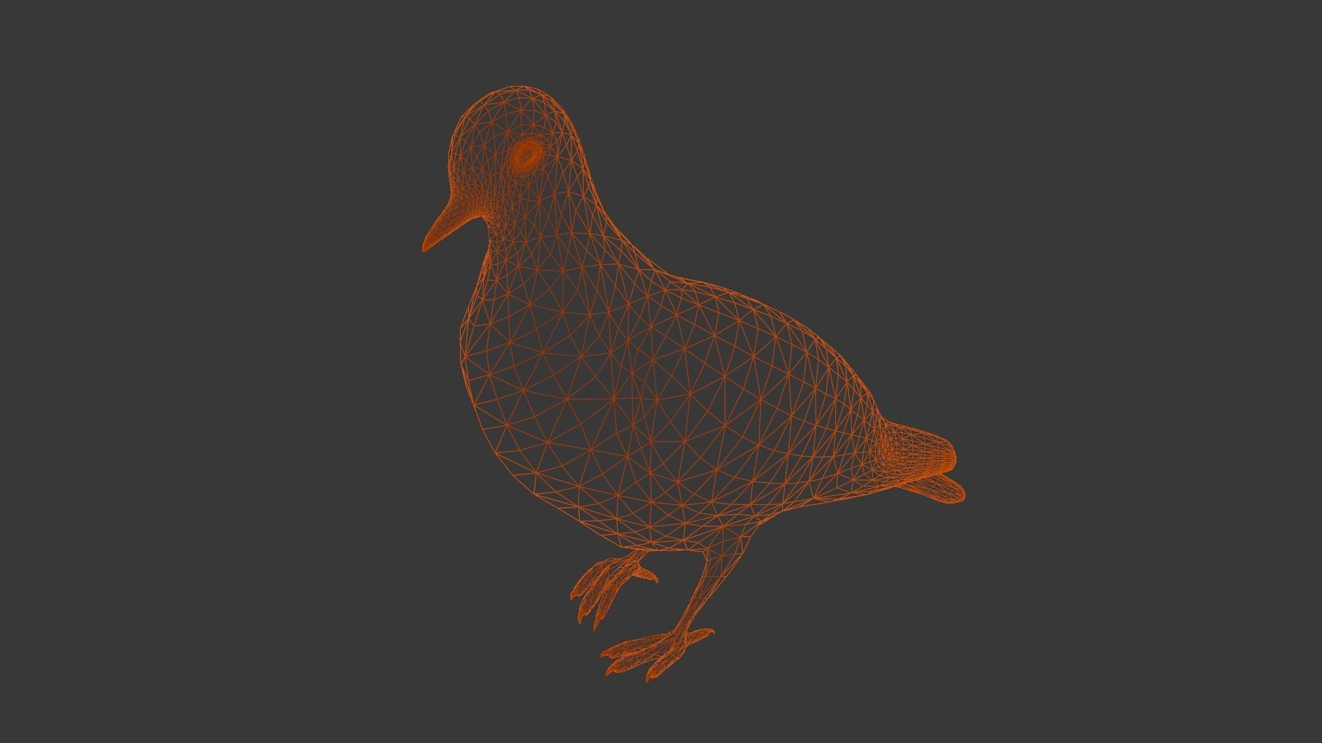 Pigeon Animated and Rigged Low-poly 3D model_18