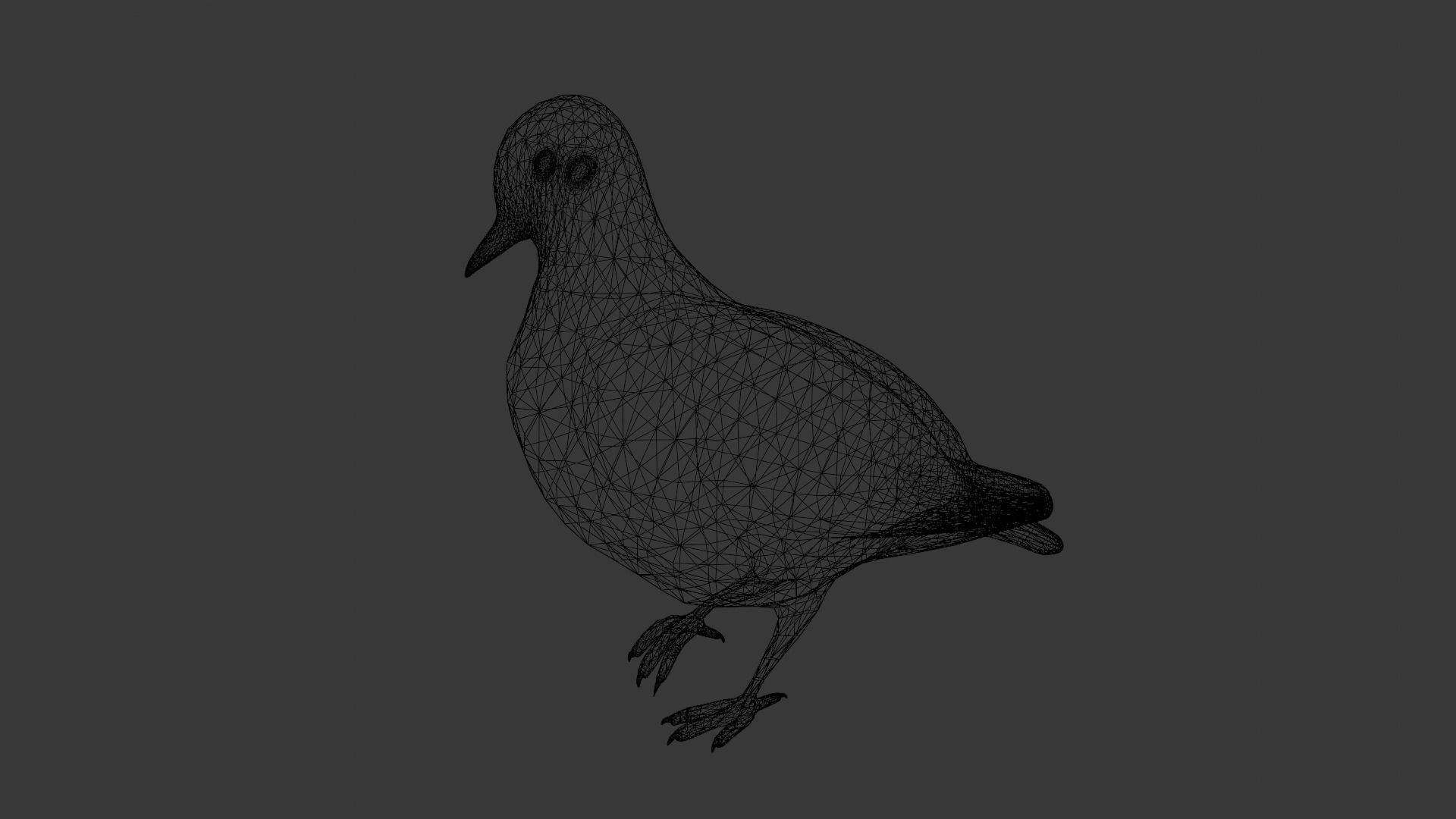 Pigeon Animated and Rigged Low-poly 3D model_16