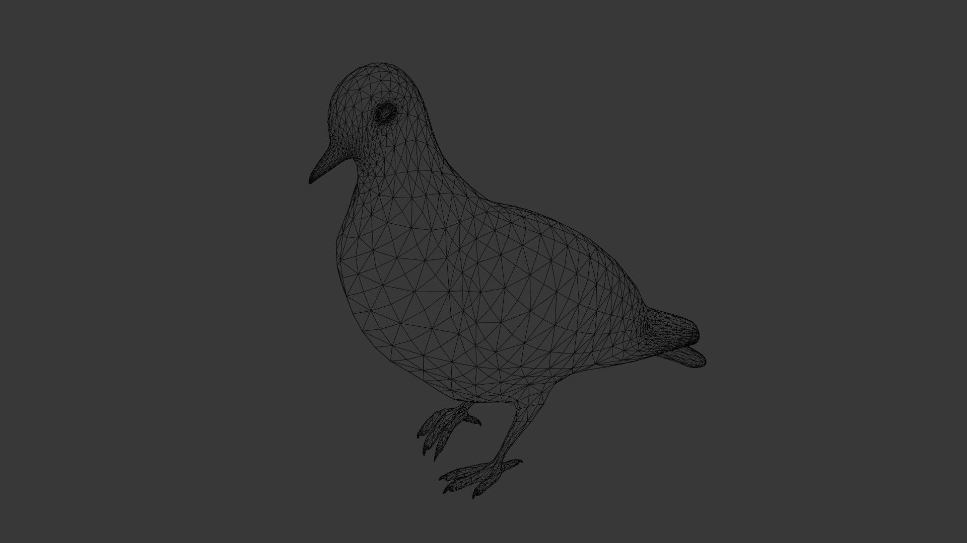 Pigeon Animated and Rigged Low-poly 3D model_17