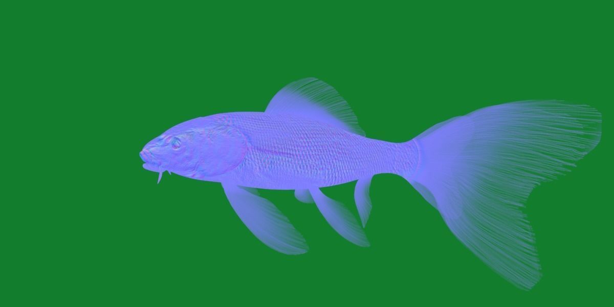 Butterfly Koi Fish Low-poly 3D model_9