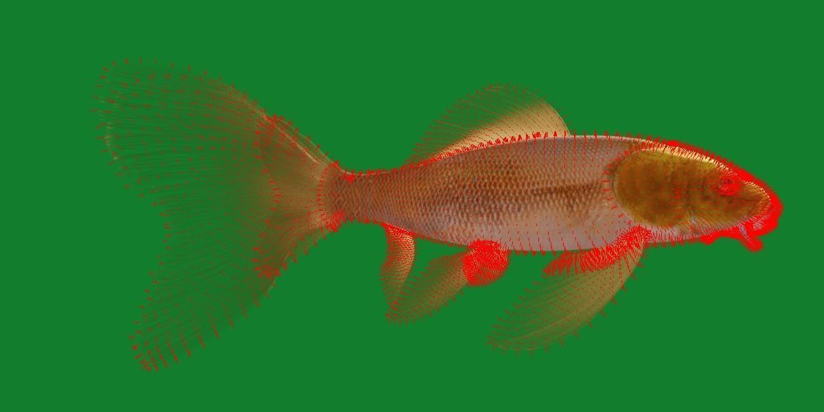 Butterfly Koi Fish Low-poly 3D model_16