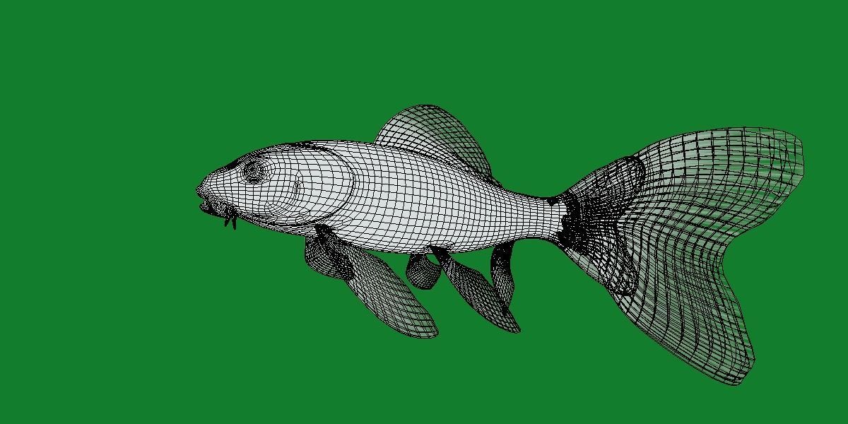 Butterfly Koi Fish Low-poly 3D model_14