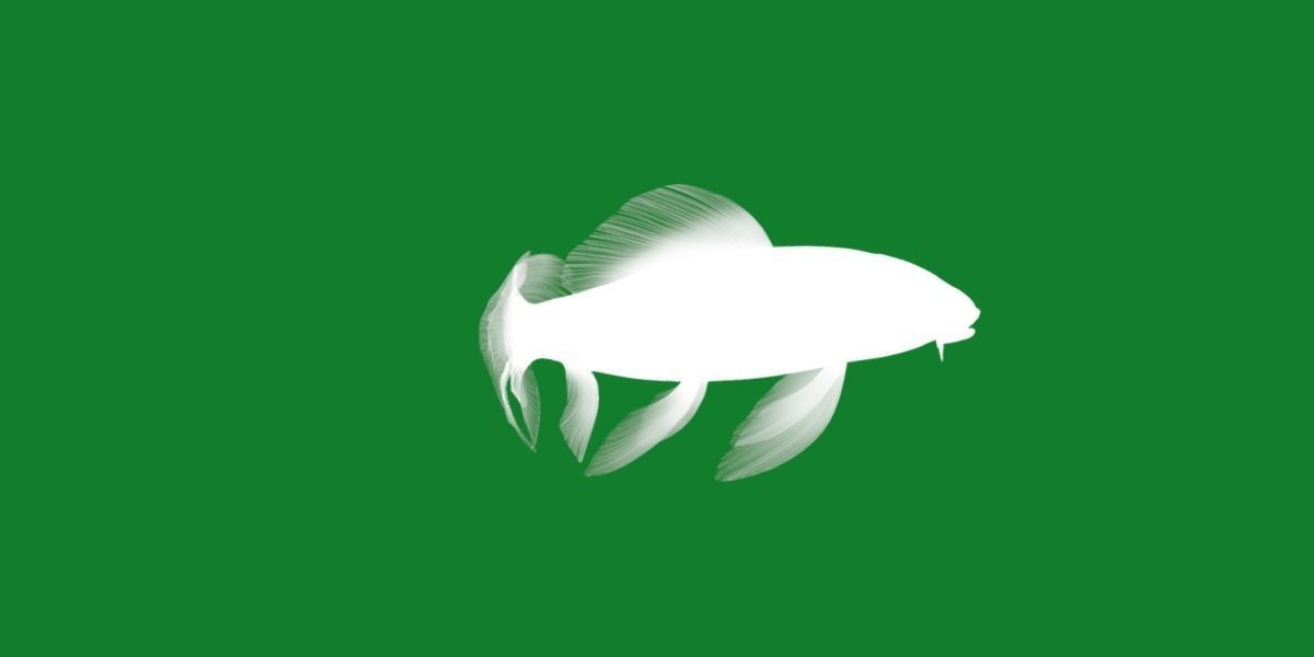 Butterfly Koi Fish Low-poly 3D model_8