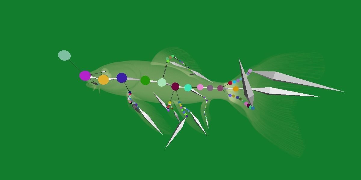 Butterfly Koi Fish Low-poly 3D model_27