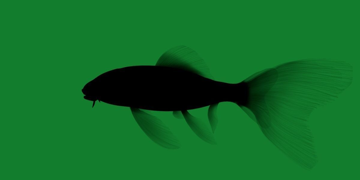 Butterfly Koi Fish Low-poly 3D model_11