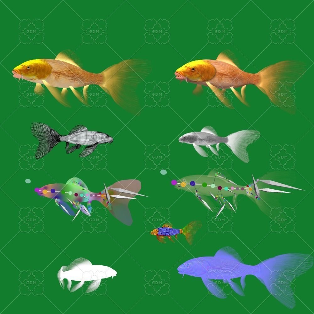 Butterfly Koi Fish Low-poly 3D model_2