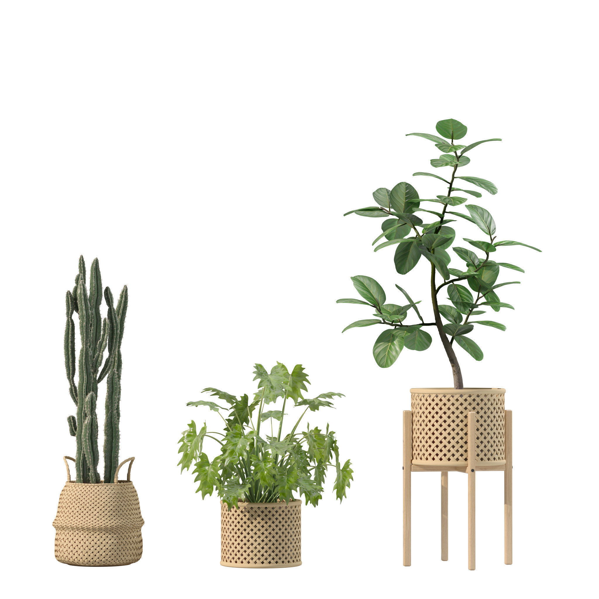 20 Photorealistic Flowers for Interiors - set 201 202 203 204 3D Model Collection_12