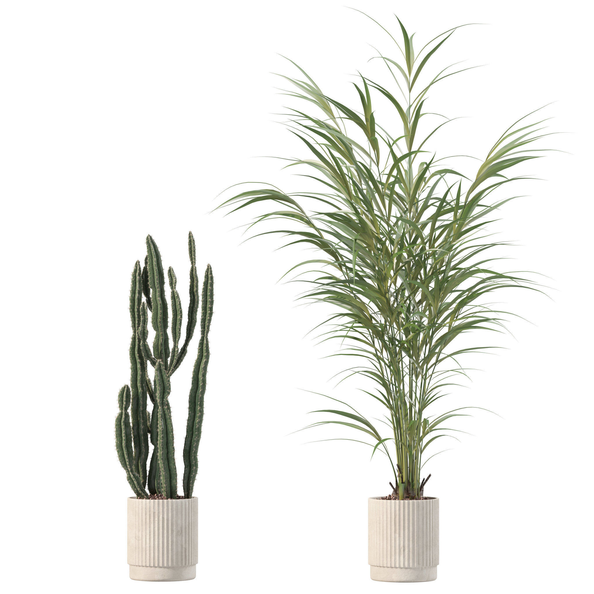 20 Photorealistic Flowers for Interiors - set 201 202 203 204 3D Model Collection_7