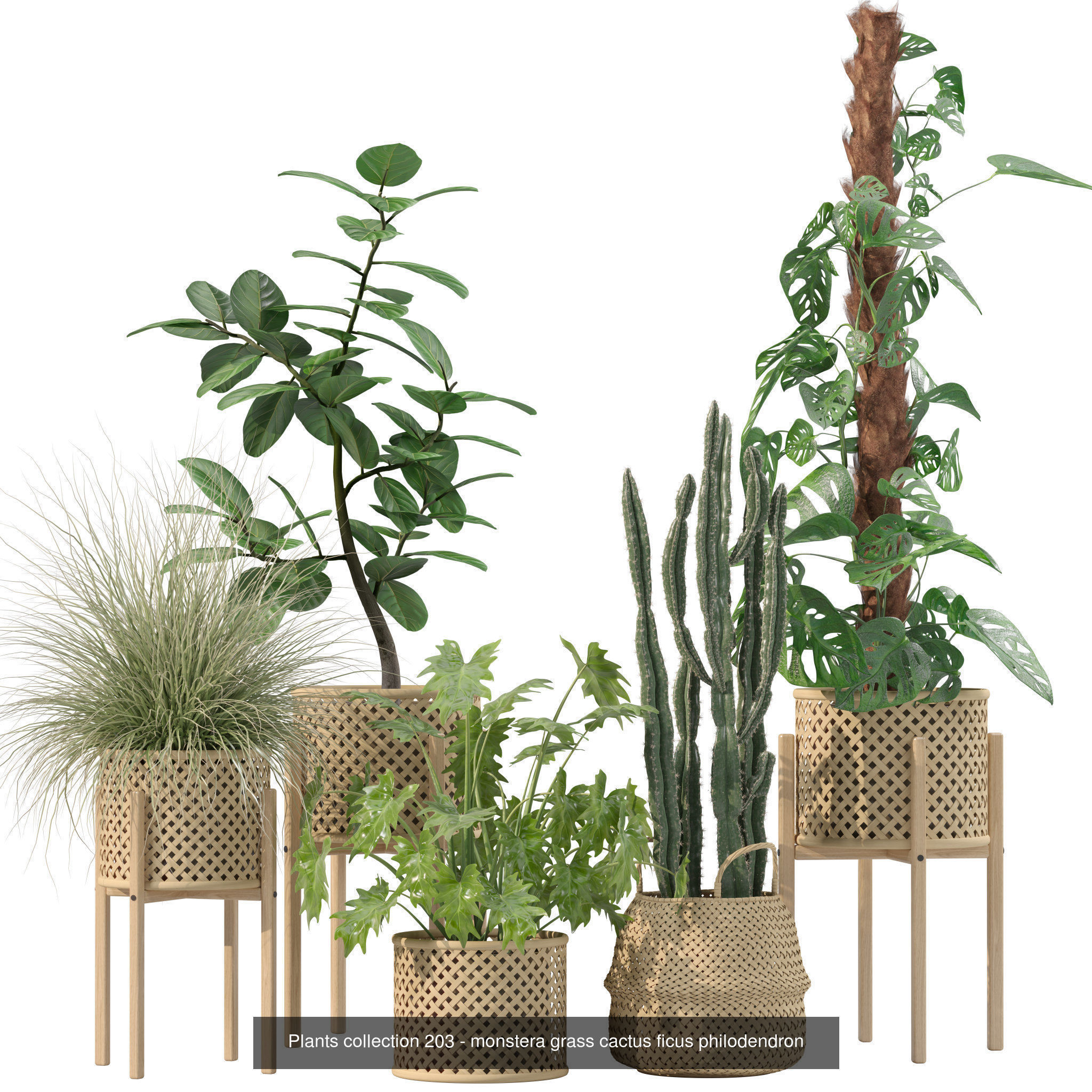 20 Photorealistic Flowers for Interiors - set 201 202 203 204 3D Model Collection_3