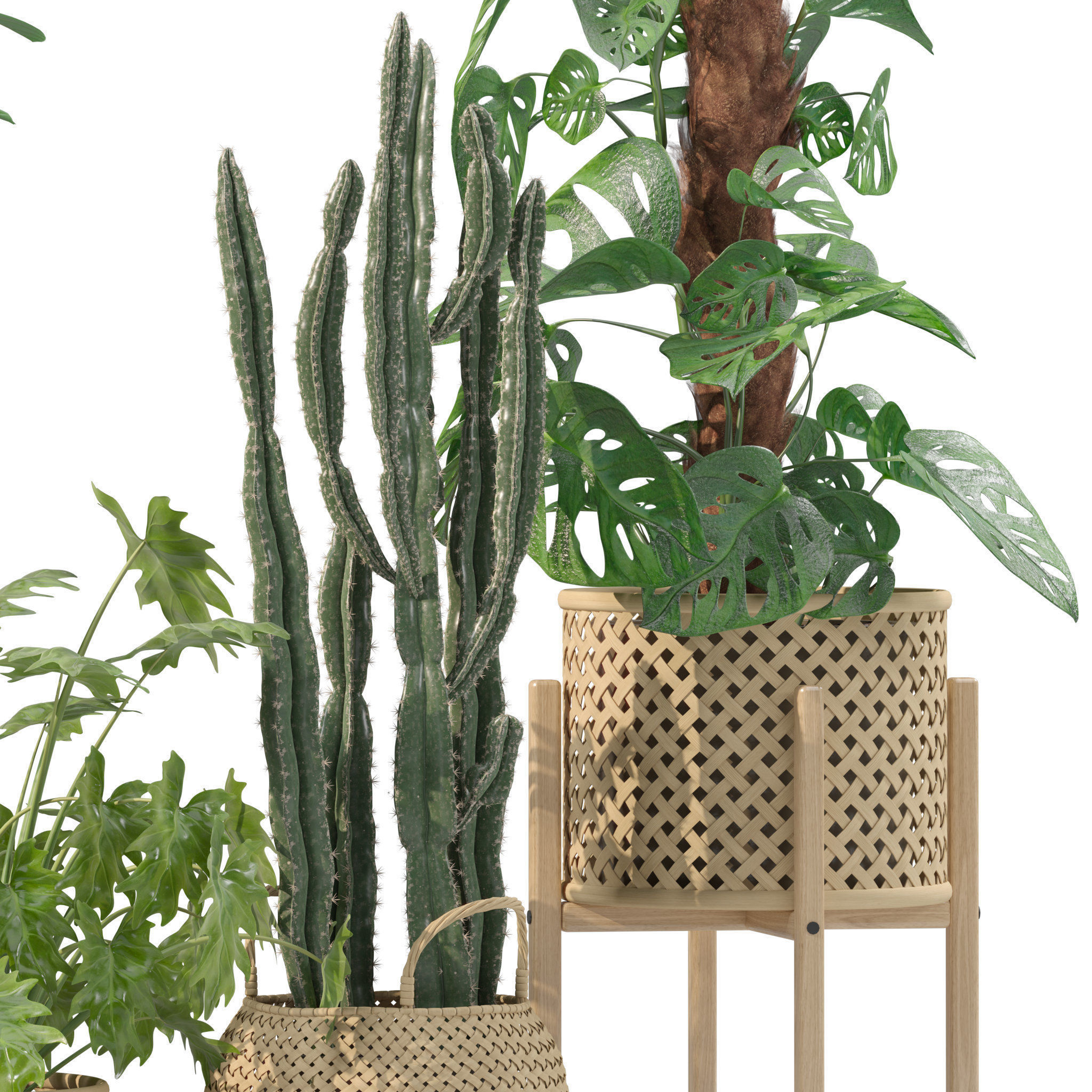 20 Photorealistic Flowers for Interiors - set 201 202 203 204 3D Model Collection_68