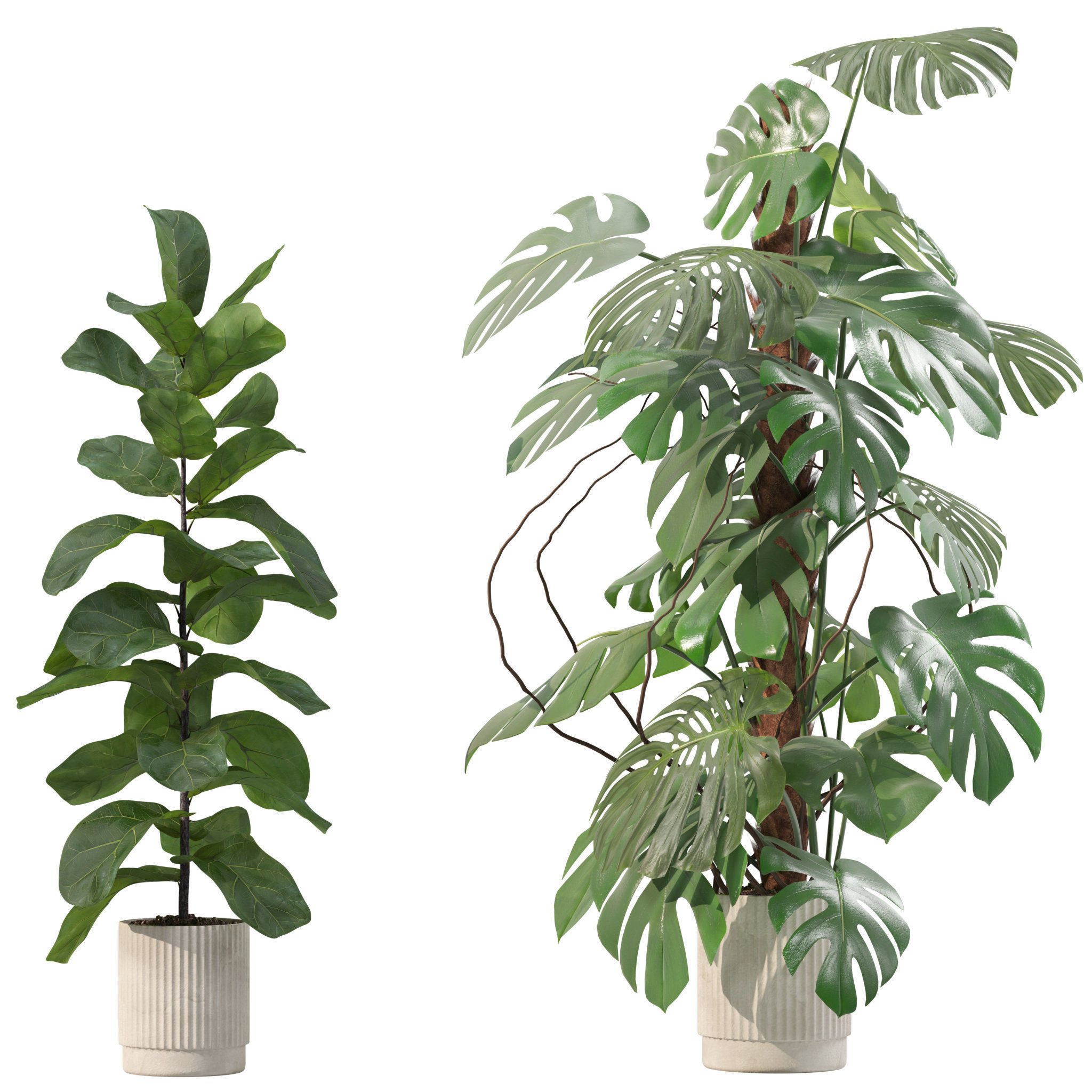 20 Photorealistic Flowers for Interiors - set 201 202 203 204 3D Model Collection_39