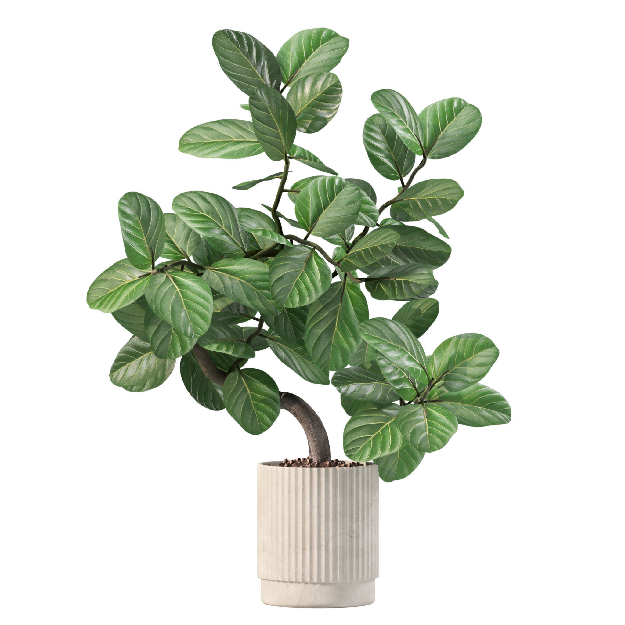 20 Photorealistic Flowers for Interiors - set 201 202 203 204 3D Model Collection_9