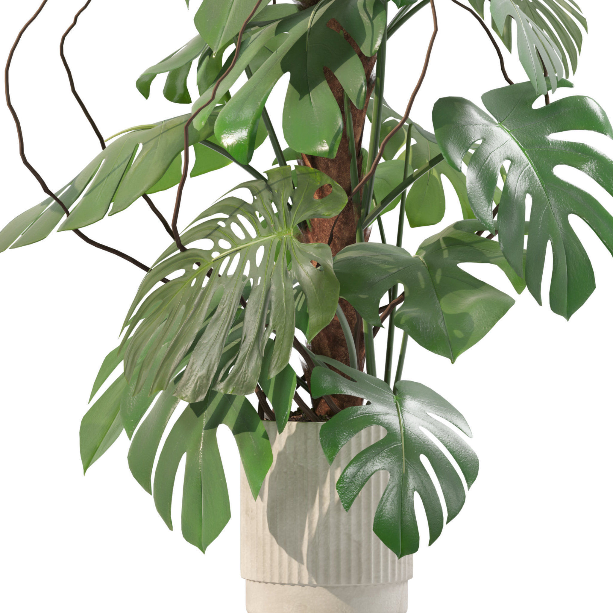 20 Photorealistic Flowers for Interiors - set 201 202 203 204 3D Model Collection_51